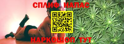 прущие грибы Ливны