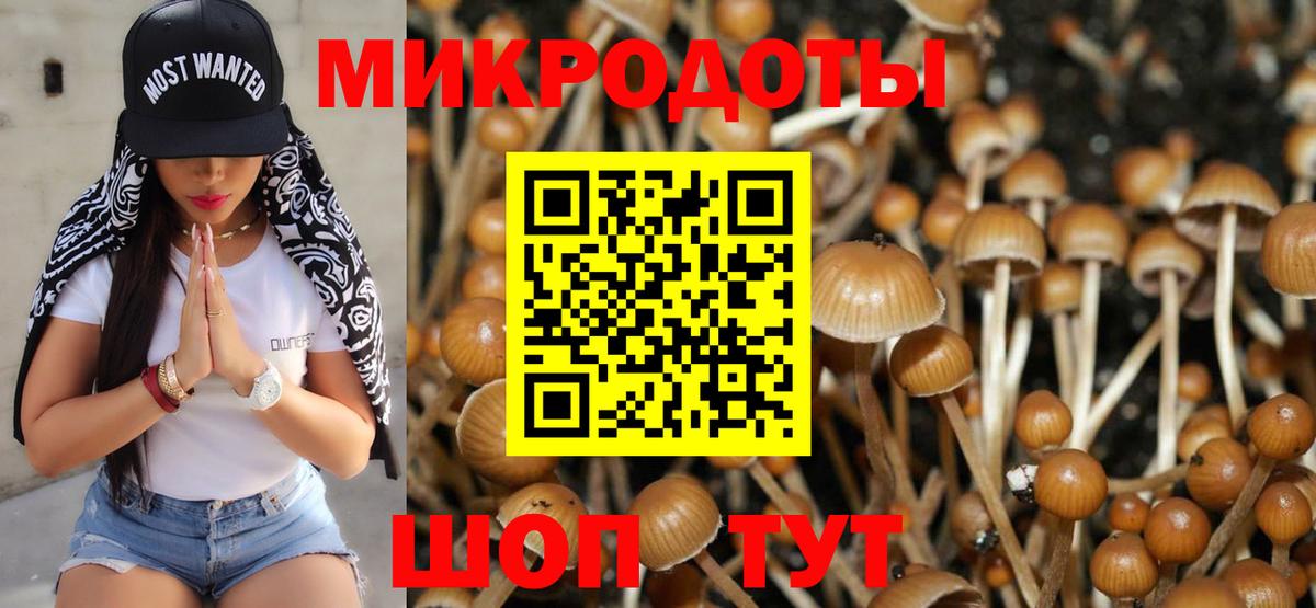 Галлюциногенные грибы Psilocybe  Вход с VPN  Галлюциногенные грибы Psilocybine cubensis  цена наркотик  Гагарин 
